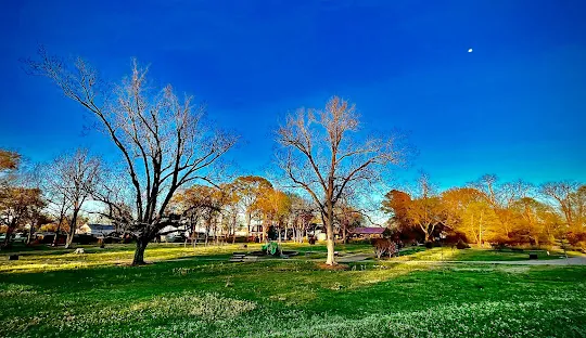 Flora, MS